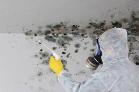 Asbestos and Lead Testing During Mold Inspection in Sterling, GA